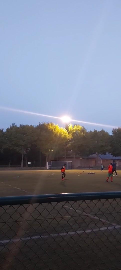 Stade Leo Lagrange - Photo 3